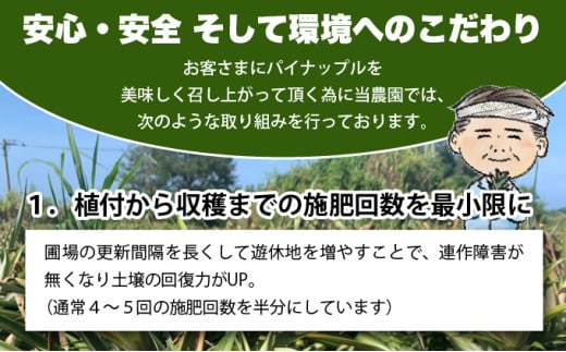 【2026年発送】ゴールドバレルたっぷり小玉セット