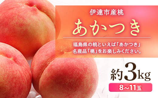 
            福島県産 あかつき 約3kg 2025年7月下旬～2025年8月上旬発送 2025年出荷分 先行予約 予約 伊達の桃 桃 もも モモ 果物 くだもの フルーツ 名産品 国産 食品 F20C-500
          