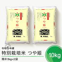 【ふるさと納税】 米 新米 令和6年産 つや姫 10kg 大石田町産 特別栽培米 精米 送料無料 ※沖縄・離島への配送不可