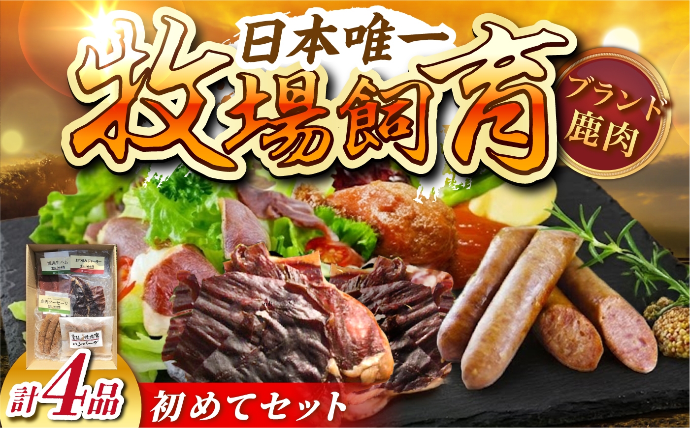 
                  初めてセット4種（生ハム、ソーセージ、デミハンバーグ、おつまみジャーキー）長崎県/株式会社ディアー・カンパニー [42AMAH003]
                