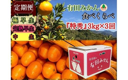 
                  【えらべる回数（全3回・全15回）】定期便 有田みかん 食べくらべ 3種 特秀 各3kg コース 南泰園 みかん
                