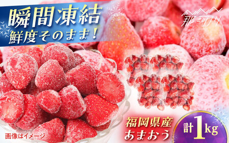 福岡県産 冷凍あまおう1ｋg(250g×4個) ＜木村食品＞ 那珂川市[GFR035]