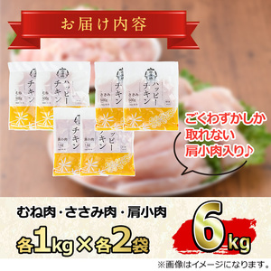【0124806a-2510】＜2025年10月発送予定＞国産若鶏肉ヘルシーセット(合計6kg・ムネ、ささみ、肩小肉) 鶏肉 鳥肉 とり肉 むね肉 おかず 小分け 国産【エビス】