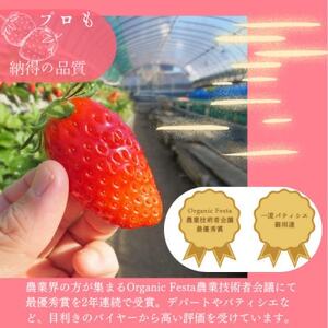 【茨城県産】菅谷いちご園の完熟いちご『いちごっ子』 3Lサイズ 11粒×4パック【配送不可地域：離島・北海道・沖縄県・中国・四国・九州】【1702239】