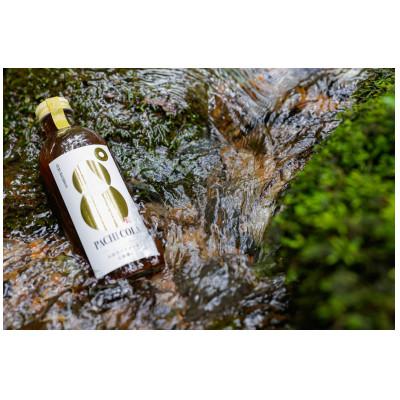 ふるさと納税 郡上市 郡上産クラフトドリンクシロップ『パチコーラ』『山のシロップクロモジ』セット