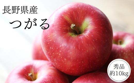 MS40 りんご つがる（長野県産秀品）約10kg / 2026年9月上旬～9月下旬頃 配送予定 // 南信州産 長野県 早生りんご りんご リンゴ 林檎 贈答 果物 フルーツ