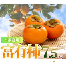 【ご家庭用わけあり】和歌山秋の味覚　富有柿　約7.5kg【高野町】
