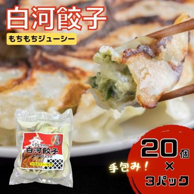 ふるさと納税 矢吹町 こだわりの原材料と地場野菜のモチモチジューシーな白河餃子20個入り×3袋セット【岡崎農園の定番製品】