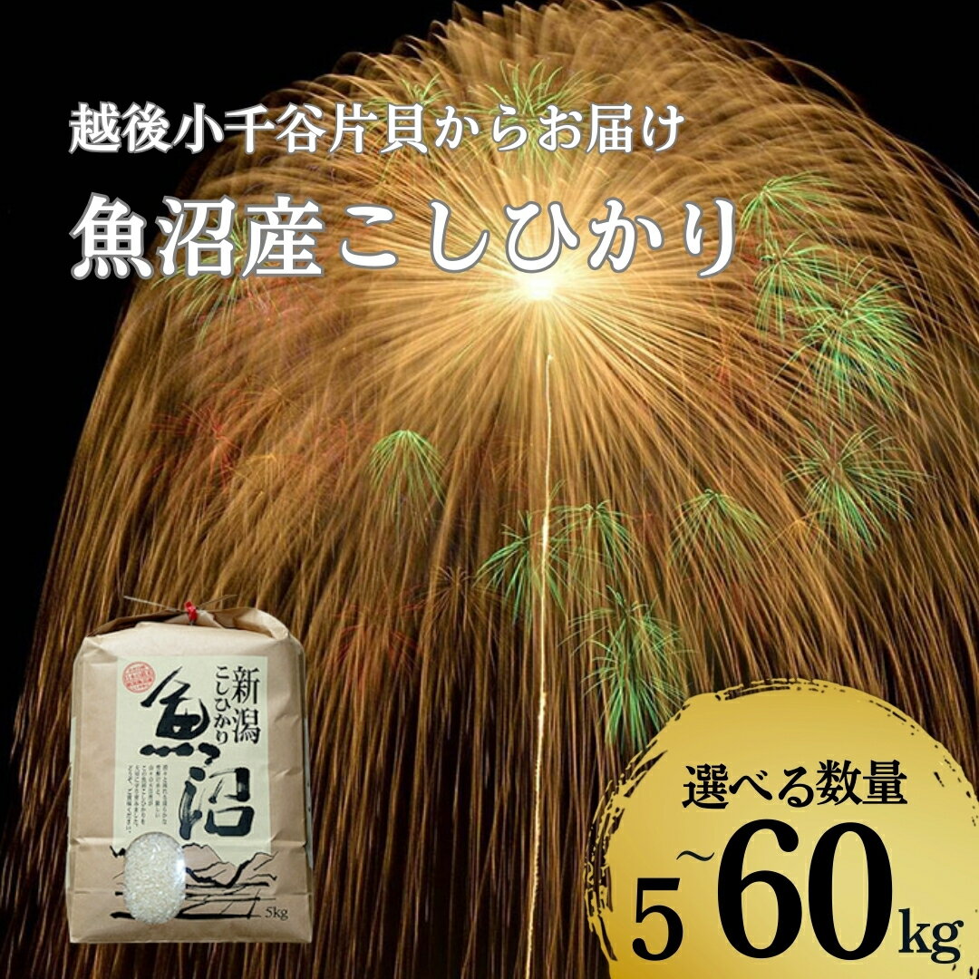 【ふるさと納税】令和7年産 魚沼産コシヒカリ 選べる数量・回数 5kg～60kg 5kg/10kg/15kg/30kg/60kg 毎月・隔月 定期便 世界一の四尺玉の町片貝町 (有)米萬商店 | 白米 精米 お米 魚沼 新潟県産 新米 先行予約 新米予約【0002-KM00SV00-01】