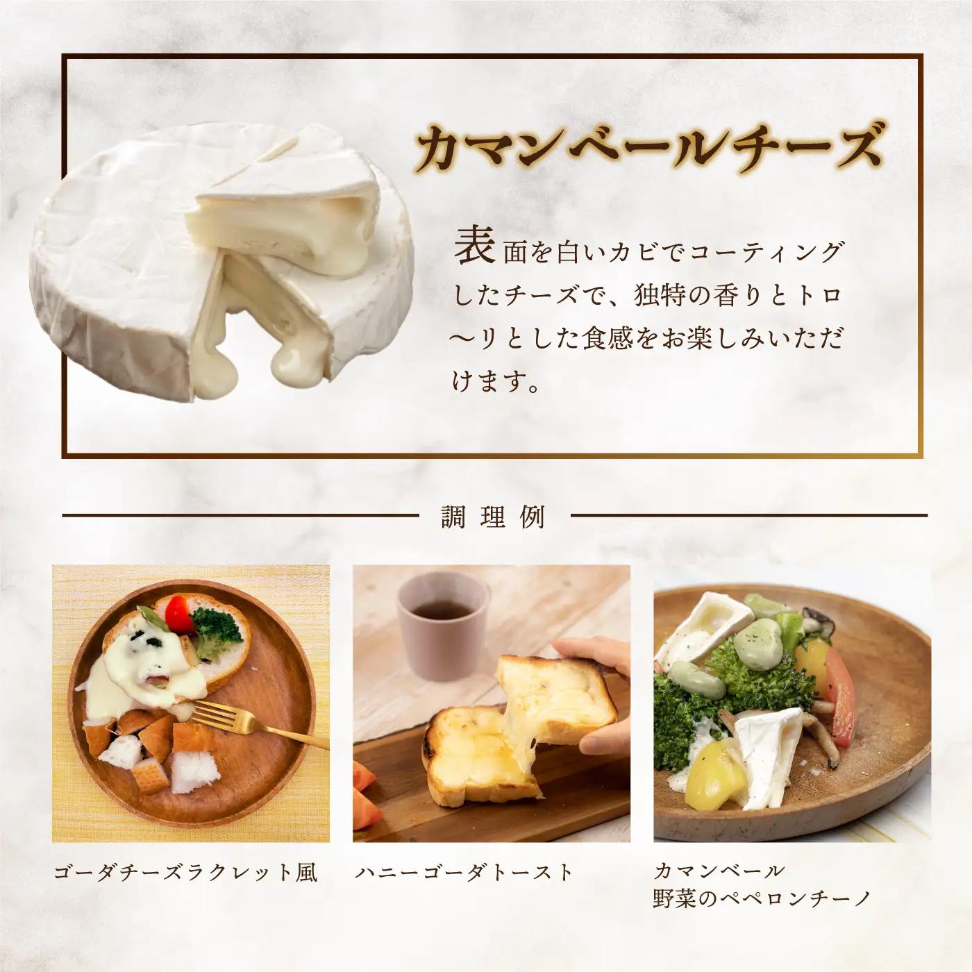 【定期便2回】熟成チーズセット（ ゴーダチーズ100g・カマンベールチーズ200g）