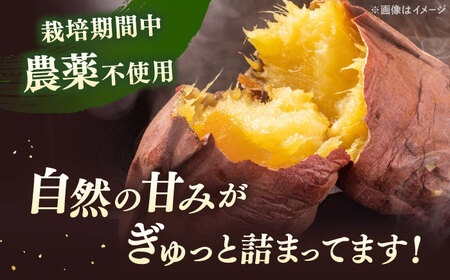 [栽培期間中農薬不使用]さつまいも　4kg（べにはるか）合鴨家族 古野農場/桂川町[ADAL016] 芋 紅はるか 焼き芋 やきいも