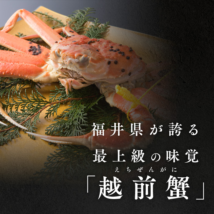 【年内届け】茹で越前ガニ【期間限定】食通もうなる本場の味をぜひ、ご堪能ください。1kg以上×2杯　越前がに 越前かに 越前カニ ずわいがに かに カニ ボイルガニ