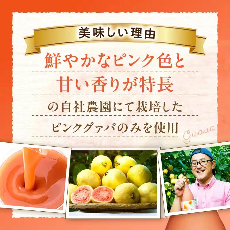 驚きの果実感！ グァバドリンク２本セット (720ml×2本)_K021-012