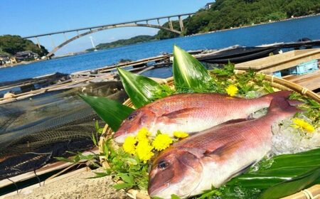 玄海町自慢の穂州鯛！明日の夜は高級鯛しゃぶセット / 佐賀県 / 渡邉水産 [41AOCS021]