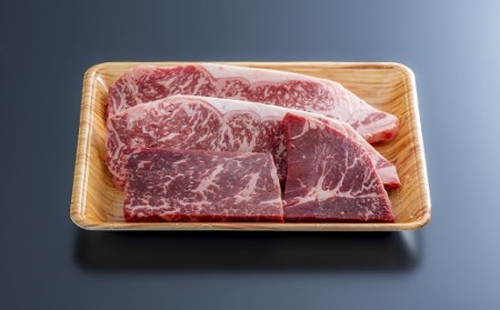 E-61 おおいた豊美牛ステーキセット（計560g）