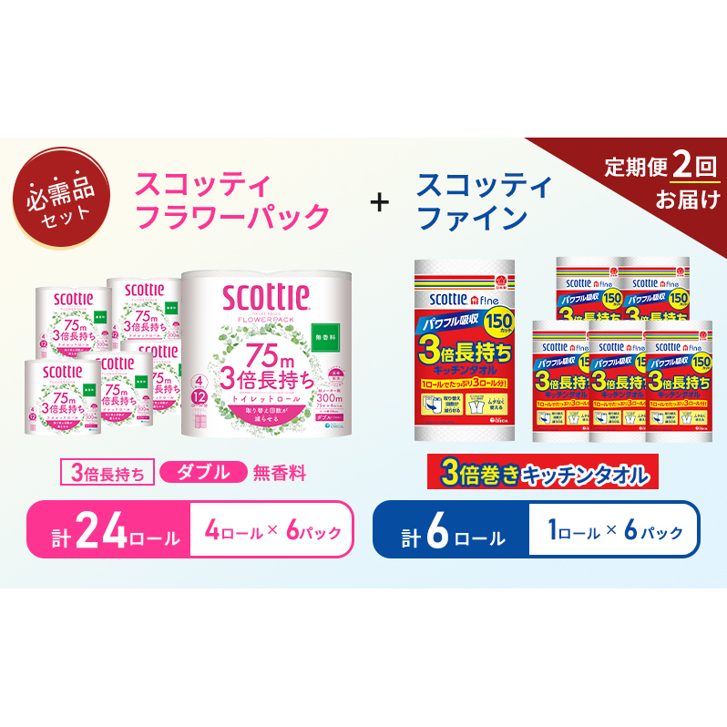 【 6ヶ月ごと計 2回お届け 】キッチンペーパー 6パック入 スコッティ ファイン 1ロール 3倍 150カット トイレットペーパー ダブル 4ロール × 6パック フラワーパック