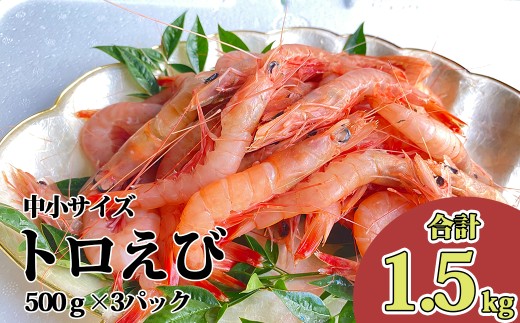 トロ えび  中 小 サイズ 1.5kg 冷凍 海老 500g 3パック お刺身 駿河湾 エビチリ エビ餃子 海鮮 沼津 静岡