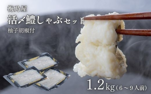 
                  活〆鱧しゃぶしゃぶセット 1200g（6~9人前）
                