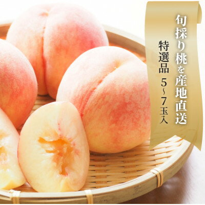 【ふるさと納税】【2026年先行予約】特選品　旬採り桃　5-7玉　(岡山県産)【配送不可地域：離島】【1696626】