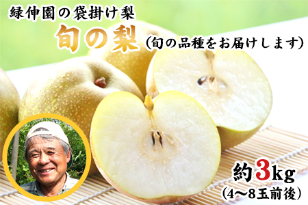 梨 熊本県産 旬の梨 約3kg 先行予約 緑伸園 熊本 梨