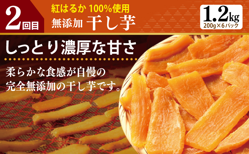 店主セレクト 食べ比べ 定期便 全5回（ハンバーグ／しらす／スンドゥブチゲ／サムギョプサル／干し芋）【毎月配送コース】 G2905