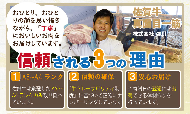 佐賀牛ヒレステーキ（480g） フィレ肉 人気 評価 ナンバーワン！ 冷凍 赤身 牛肉 希少部位 国産 極厚カット お肉 ブランド牛 九州産 送料無料 ヒレステーキ A5～A4  ステーキ肉 焼肉 人