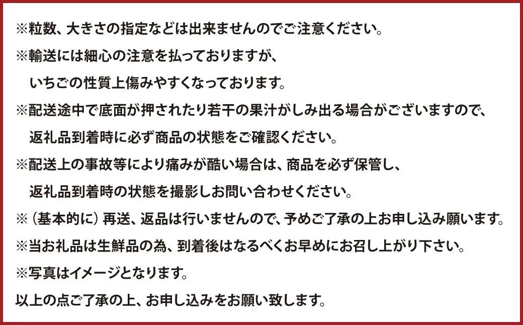 あまおうDX 約250～270g×4パック 合計約1120g デラックス いちご 苺 果物 くだもの フルーツ 【2027年2月上旬～4月下旬発送予定】