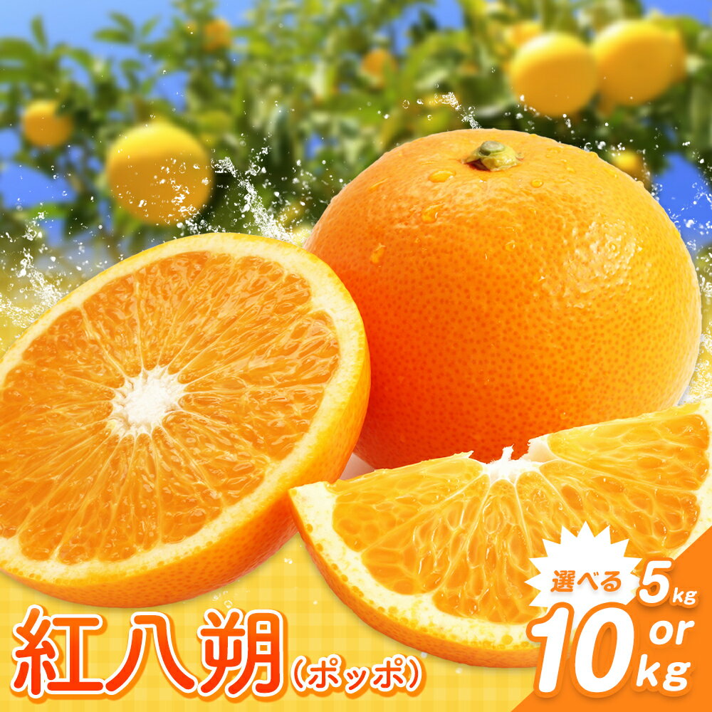 【ふるさと納税】紅八朔（ポッポ）10kg（3L～L）or 5kg（3L～L）JAわかやま 紀の里地域本部《3中旬-4中旬頃に出荷予定(土日祝除く)》和歌山県 岩出市 産地直送 みかん 八朔 柑橘 果物 フルーツ ビタミンC たっぷり