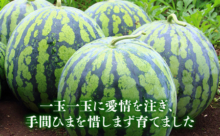 【2026年夏発送】ふらの山部の秀品スイカ『鳳凰スイカ』約4kg 1玉(坂口農産) 北海道 富良野産 すいか 西瓜 夏 フルーツ 果物 くだもの 青果