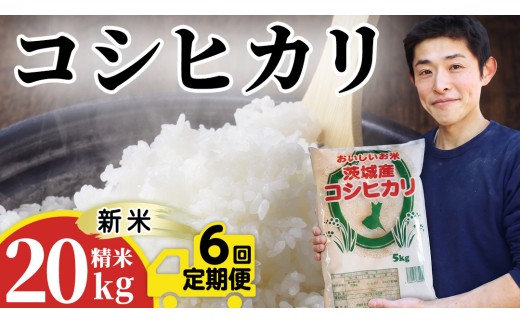 【新米】【 6ヵ月 定期便】 コシヒカリ 20kg ×6回 令和8年産 精米 産地直送 茨城県 城里町 新米 精白米 米 ご飯 こしひかり 米 白米 精米 単一原料米 (AX068)