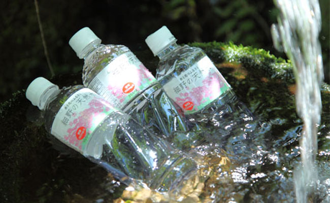 【ミネラルたっぷり天然中硬水】細野の天然水 555ml×24本_イメージ2