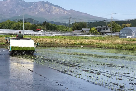 令和5年度産 ゆうだい21 玄米10kg(5kg×2袋)｜数量限定 お米 国産 日光産 産地直送 [0314]