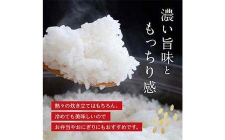 FK7-0269_【6カ月定期】【嘉島町産】くまさんの輝き 5kg 米 お米 コメ ごはん ご飯 食品 九州 熊本県 熊本 嘉島