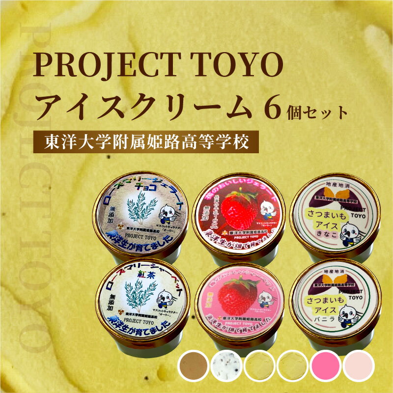 【ふるさと納税】PROJECT TOYO アイスクリーム 6個 セット 東洋大学附属姫路高等学校【 アイス アイスクリーム 詰め合わせ セット 苺 チョコ 紅茶 バニラ きなこ シャーベット ジェラート 東洋大学附属姫路高等学校 開発 デザート スイーツ 送料無料 】