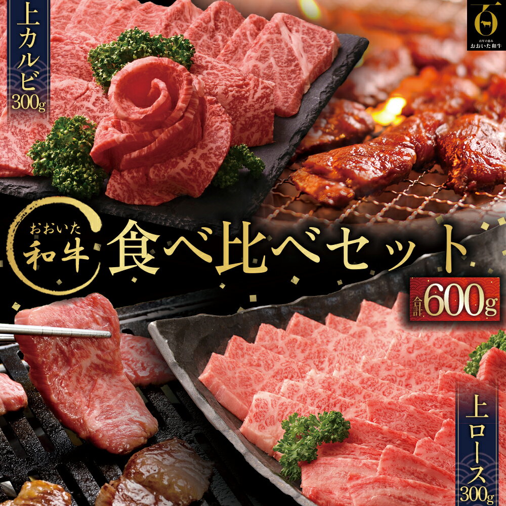 【ふるさと納税】 おおいた和牛食べ比べセットA【合計600g】牛肉 焼肉 カルビ 上カルビ ロース 上ロース 肩ロース リブロース サーロイン 三角バラ 九州産 大分県産 姫島村 G13