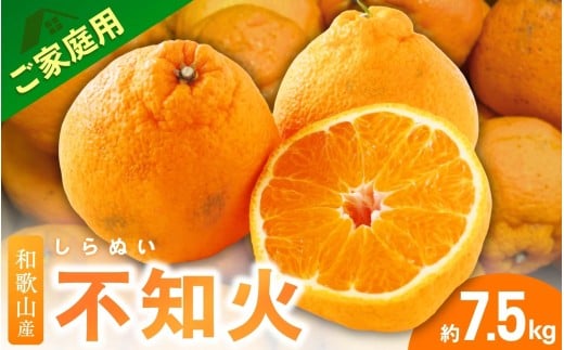 ＜2月より発送＞【先行予約】家庭用不知火7.5kg+250g（傷み補償分）【デコポンと同品種・人気の春みかん】【わけあり・訳あり】 / 和歌山 みかん 果物 ミカン フルーツ 果実 柑橘 デコポン【ikd055D】