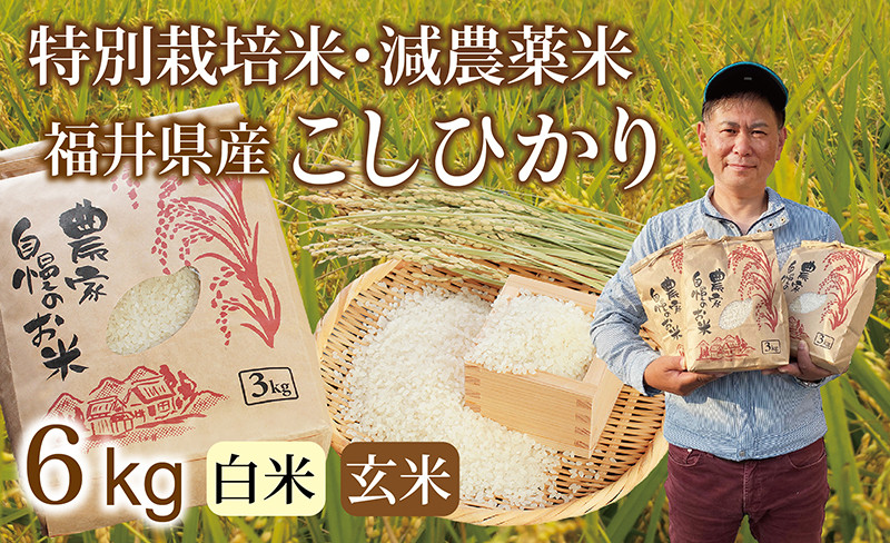 
            〈先行予約・新米〉減農薬米 こしひかり 6kg(3kg×2袋) ／令和7年 福井県産 （玄米or白米）2025年10月~12月発送 人気品種 少量サイズ便利
          