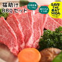 【ふるさと納税】猫助けBBQセット 飛騨牛 黒毛和牛 国産 牛肉 豚肉 鶏肉 焼肉 焼きそば レジャー アウトドア バーベキュー BBQ(SAVE THE CAT HIDA支援) 猫 ねこ ネコ ネコ好き にゃんこ プレゼント ギフト [neko_j_53]30000円 3万円 ネコリパブリック