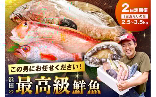 【定期便】どんちっち浜田【極み】鮮魚 2回コース～最高級この男シリーズ～【006_2016】