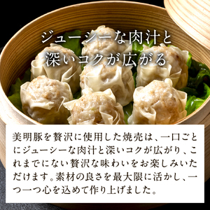 【2026年8月より順次発送】焼売 美明豚「びめいとん」のジューシー焼売2パック（30g×20個×2袋）｜シュウマイ 焼売 美明豚 びめいとん 肉 肉加工品 豚肉 お肉 ジューシー 茨城県 行方市(H