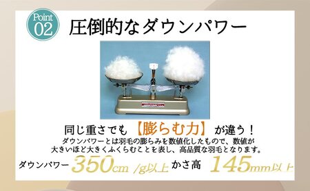 【５色展開】洗える羽毛合い掛け布団シングルダウン90％350dp北欧デザイン羽毛1.0kg洗濯可羽毛布団 ブルー