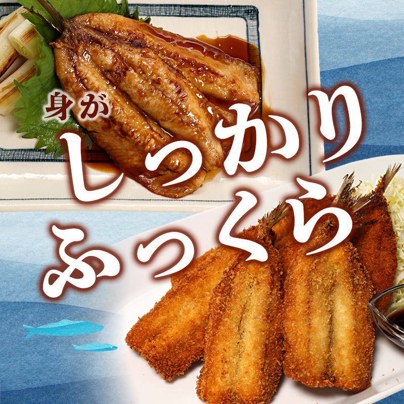 舞鶴産 無塩いわし開き 20尾  骨抜き バラ凍結 レシピ付き | 鰯 無塩 開き 骨抜き バラ 冷凍 海鮮 魚介 干物 京都 舞鶴市