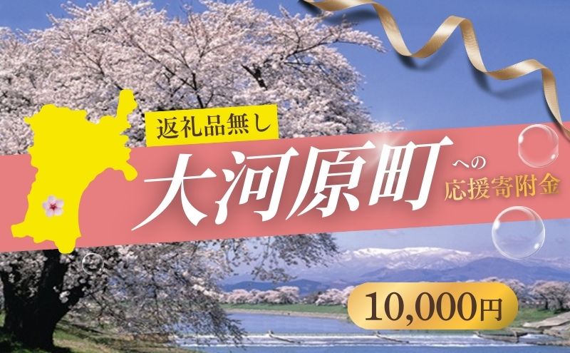【返礼品なし応援寄附】宮城県大河原町（10,000円） 