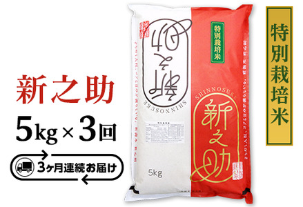 B7-8ST053【3ヶ月連続お届け】長岡産新之助5kg（特別栽培米）