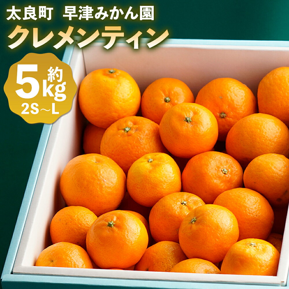 【ふるさと納税】早津みかん園のクレメンティン 5kg 【2027年1月上旬～2月下旬まで順次発送予定】 クレメンティン ヨーロッパ生まれ 太良みかん みかん ミカン 蜜柑 フルーツ くだもの 果物 太良町 国産　N87x2
