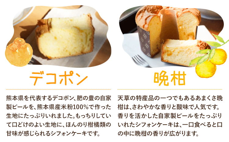 菓子 シフォンケーキ 小 3個 デコポン 晩柑 アールグレイ チョコチップ 加工所みかん屋さん 松本果樹園《30日以内に出荷予定(土日祝除く)》熊本県 苓北町 お菓子 シフォン ケーキ スイーツ おや