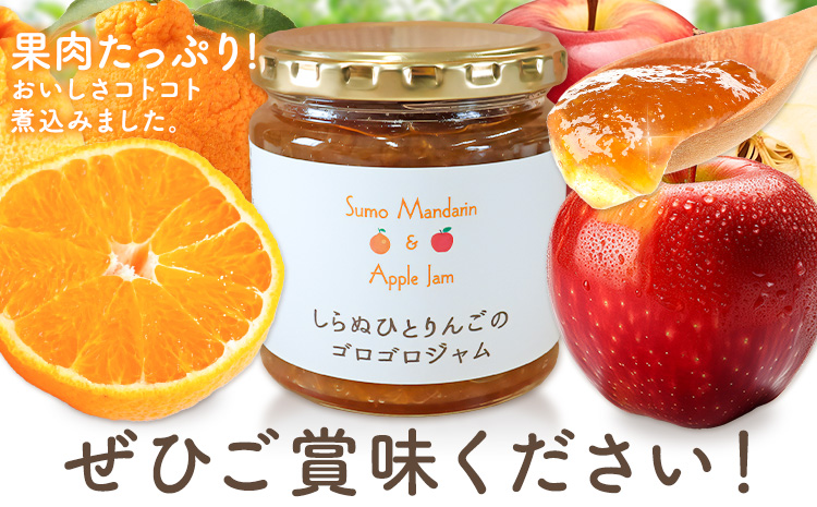ジャム フルーツ 不知火 りんご しらぬひとりんごのゴロゴロジャム 1個 (1個250g) 有限会社美馬交流館《30日以内に出荷予定(土日祝除く)》徳島県 美馬市 送料無料 ジャム 果物 果肉 ごろご