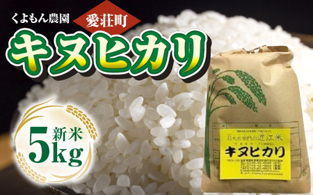 くよもん農園 愛荘町産 キヌヒカリ 5kg  令和6年産　白米 精米　AG03