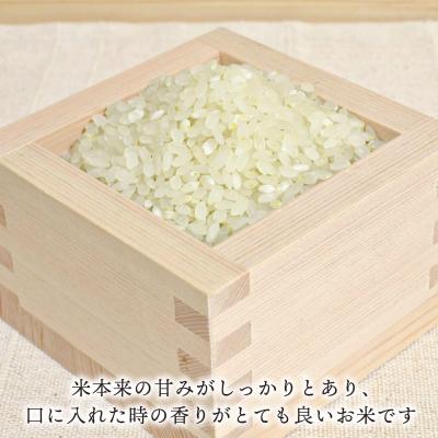 ふるさと納税 糸島市 夢つくし 10kg 糸島王丸農園(谷口汰一)【いとしまごころ】[AAZ005] |  | 01