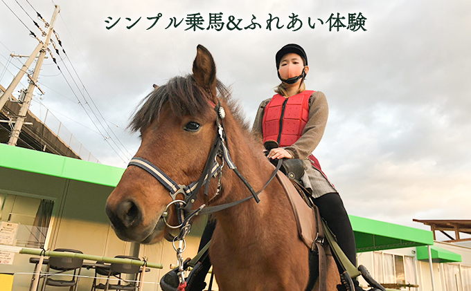 
シンプル乗馬＆ふれあい体験
